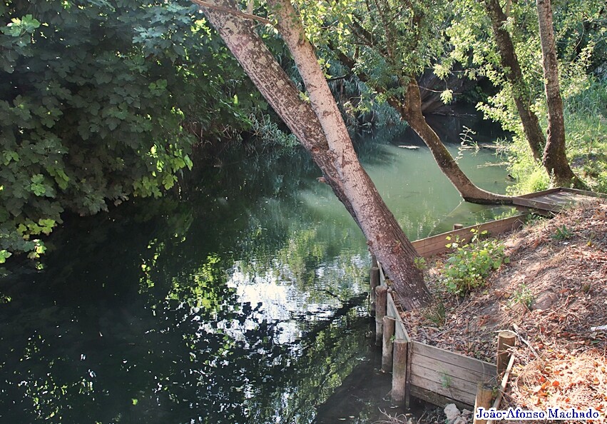 NA TRAV. DO AÇUDE REAL.JPG