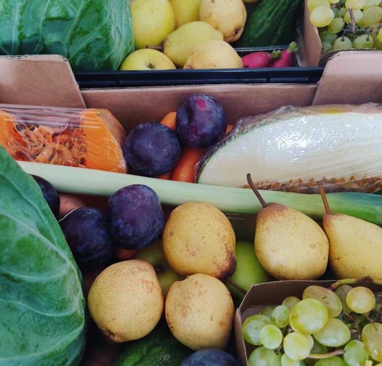 382240239_695918579232222_1438360661621252668_n.jp