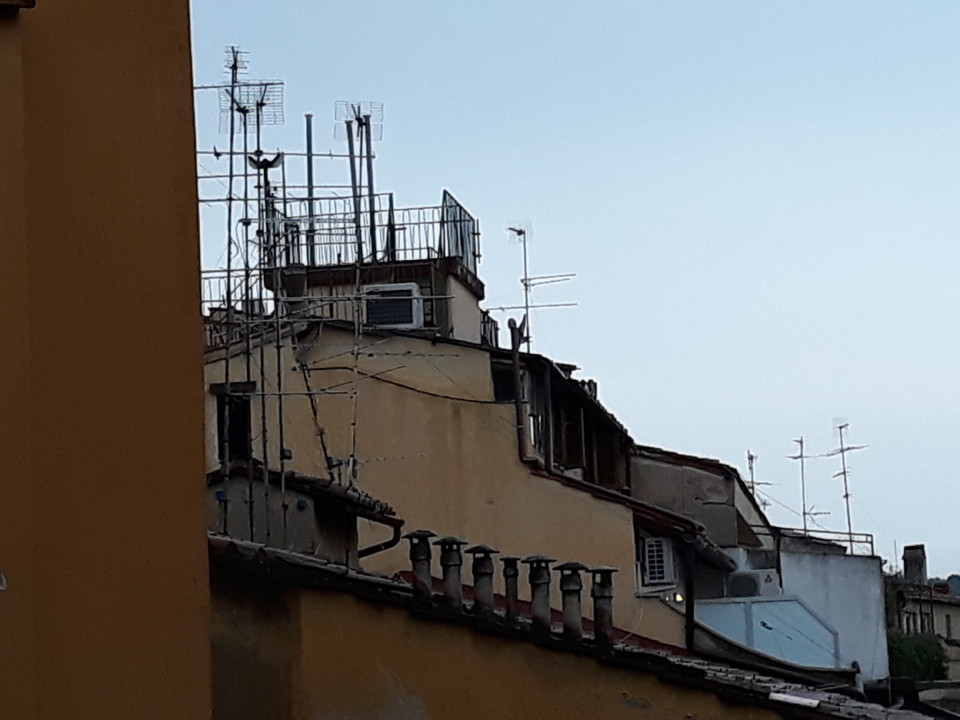 20180814_075045.jpg 20180814_075045.jpg