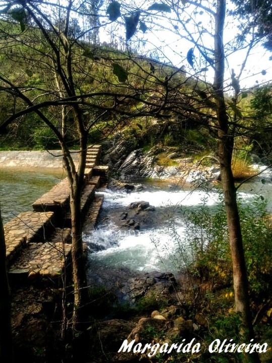 131418072_869459113809297_6145376320443286559_n.jp