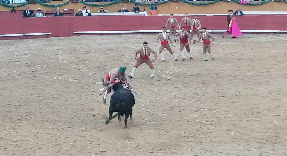 Pega derancisco Cabaço-Santarém 16.03.2024.jpg