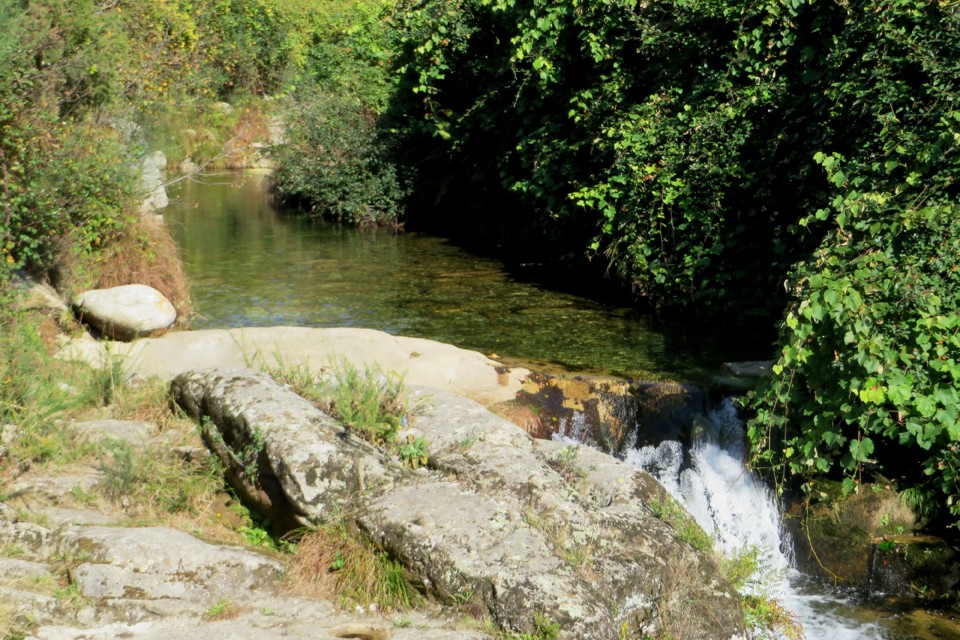 IMG_4770.JPG IMG_4770.JPG