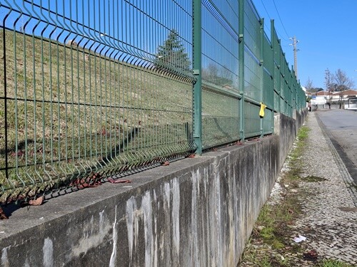 29a_Caminhada_matinal (1).jpg