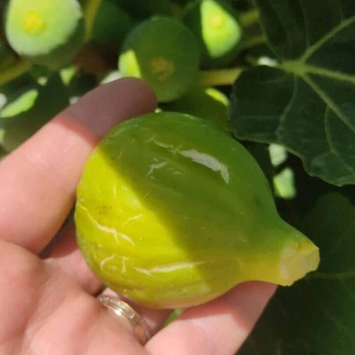 295324247_2374965875976493_8569047626754100769_n.j