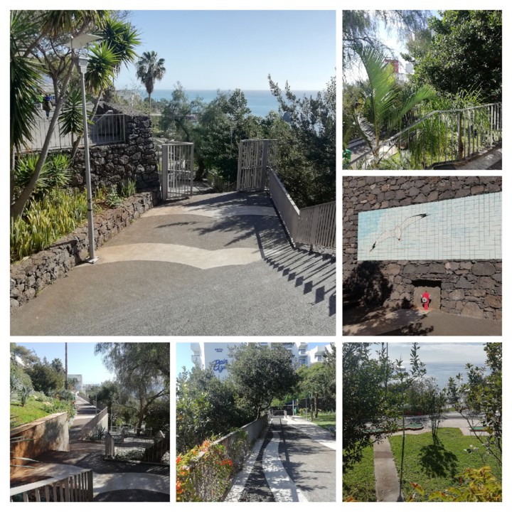 IMG_20210131_120358-COLLAGE.jpg IMG_20210131_120358-COLLAGE.jpg