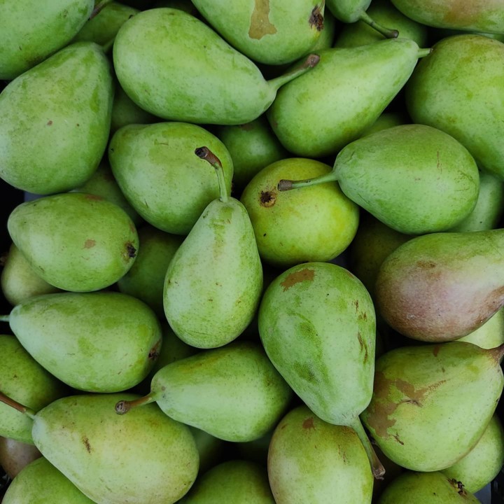 207872994_2070196803120070_8662417698496950942_n.j