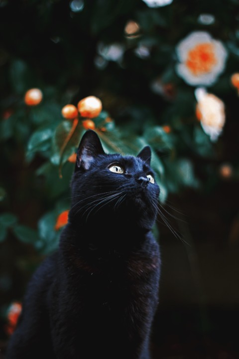 EDC3EB90-2FB7-47C2-BB5F-C5611DBD9654.JPG EDC3EB90-2FB7-47C2-BB5F-C5611DBD9654.JPG