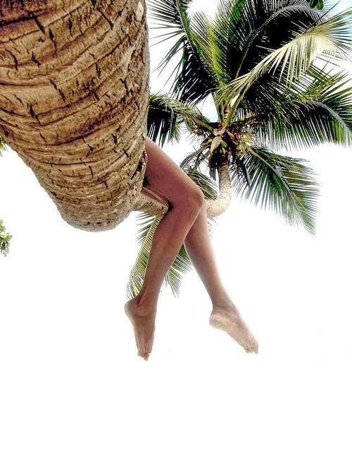 19248129_10206958875929966_4925661965525988027_n.j