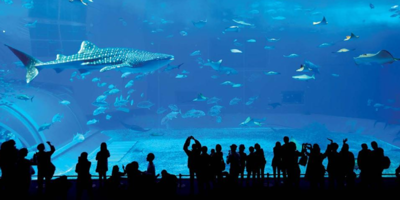 2022-07-02 Literacia oceanica para todos (1).png