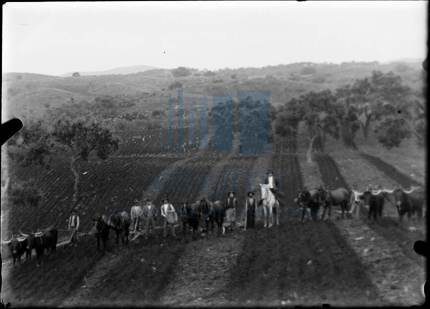 PT-AMGDL-MM-102-15_campo lavrado.jpg