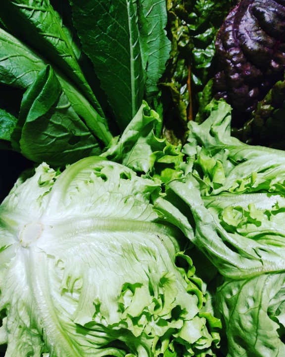 120997362_1837646316375121_2766412759552741436_o.j