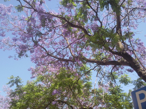 Foto2163. Foto de DAPL 2015 jpg