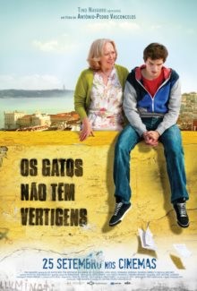 os gatos.jpg