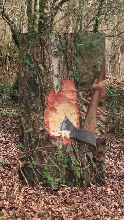 LANDRA_Habitat 1.jpg