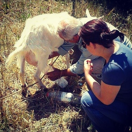 196171388_2037545296385221_5330672281091718351_n.j 196171388_2037545296385221_5330672281091718351_n.j