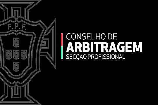 Conselho Arbitragem_Profissional.jpg