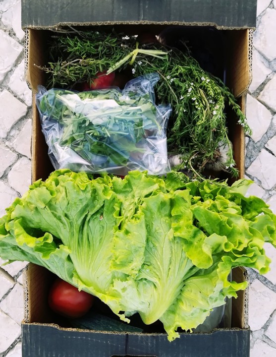 67465361_1417627561710334_2896936899778183168_n.jp