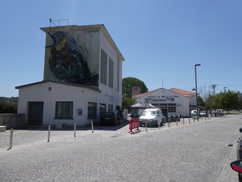 06c_AgitÁgueda (2).JPG
