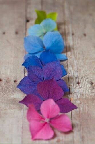 58608381_2096476197114908_1775263953719394304_n.jp