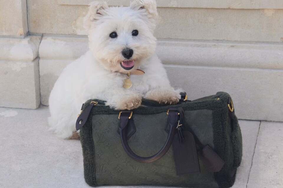 imgi_56_https%3A%2F%2Fhypebeast.com%2Fimage%2F2025