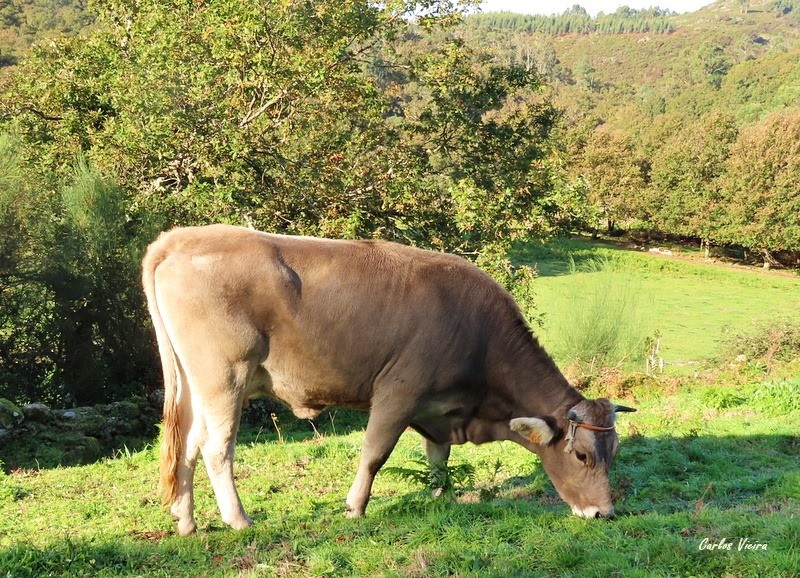 123140450_10224992645189881_82297090570735910_n.jp