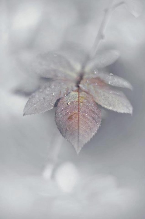 Silêncio que vale a pena... aquele que te fala.jp