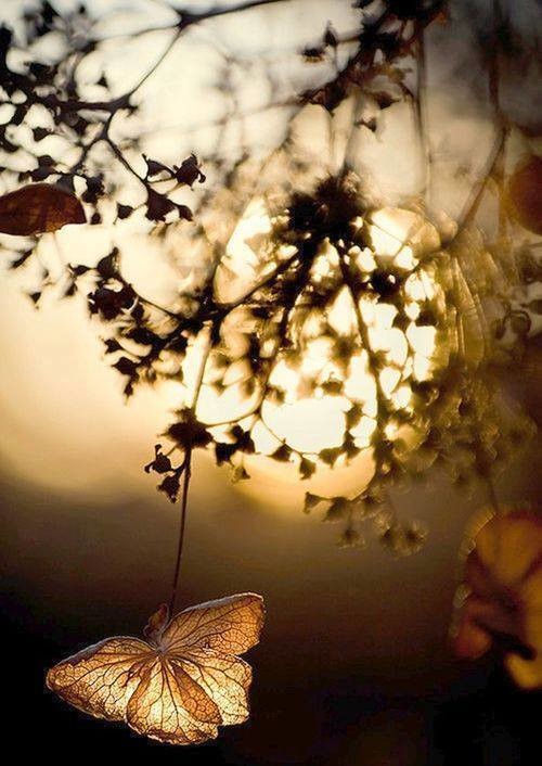 “Success…seems to be connected with action. Su