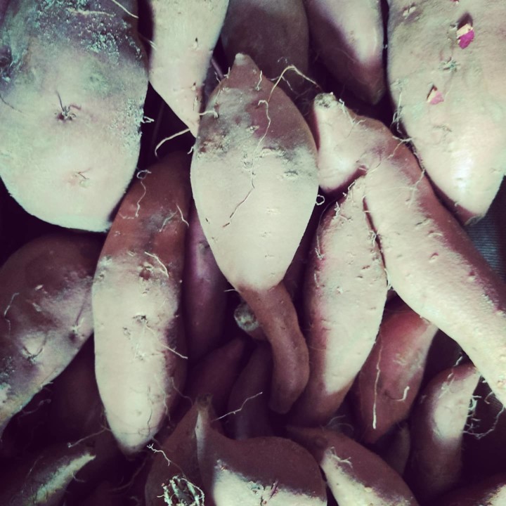 154397273_1960189150787503_1304160753140651662_o.j