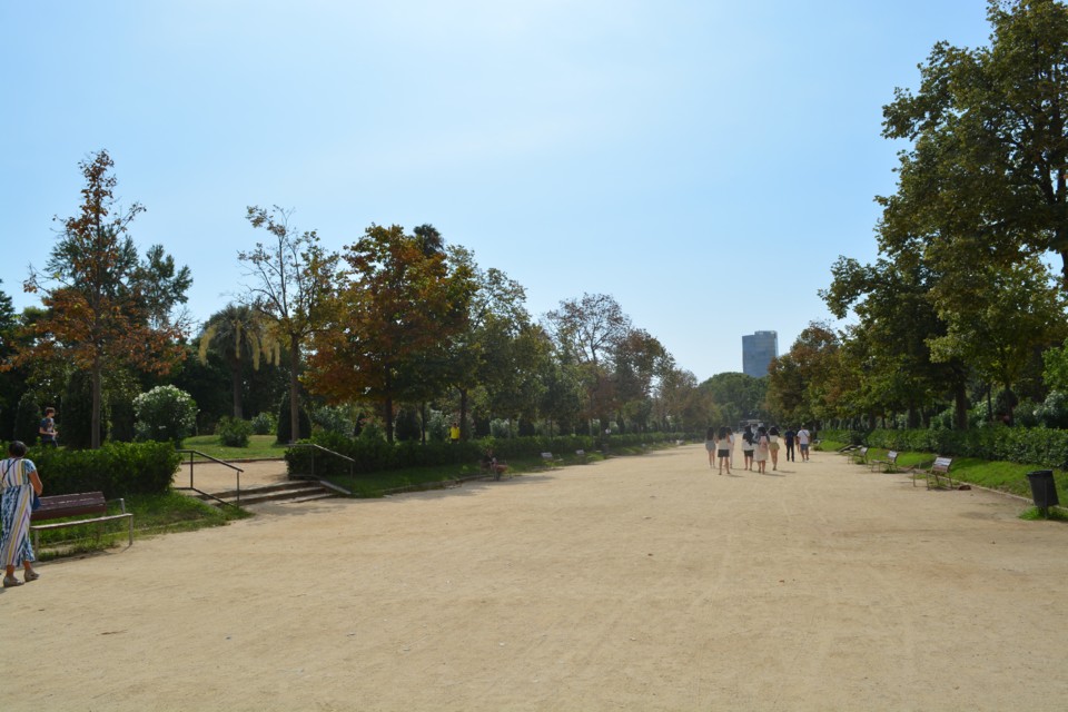 70393714_2535042456723668_5364317168047489024_n.jp