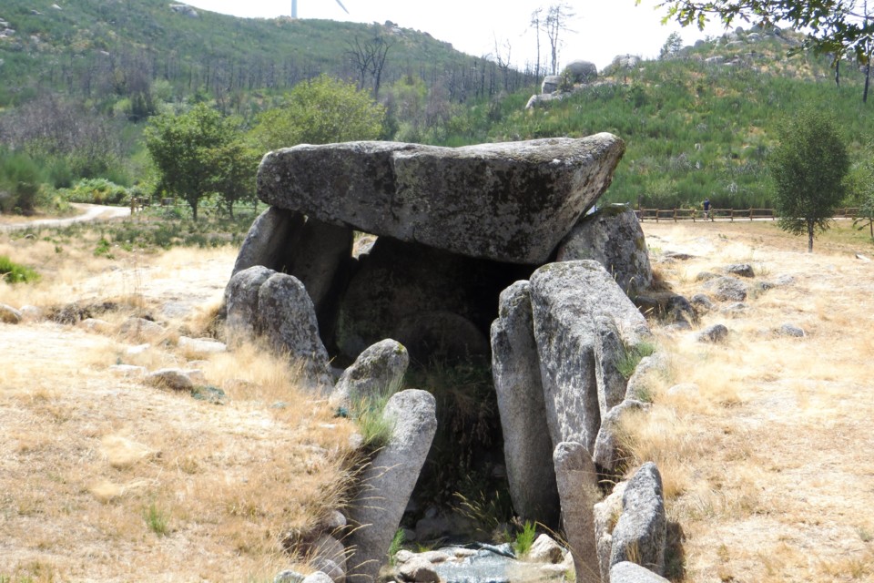 IMG_3378.JPG IMG_3378.JPG