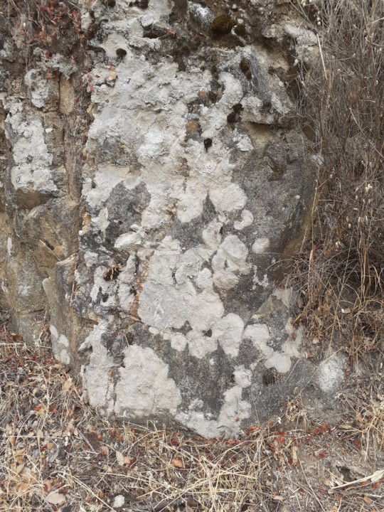 Abstrações VI. Foto Original. 2021.07.06.jpg