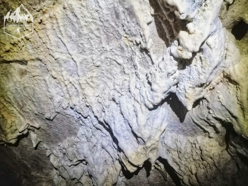 Photo_1596312327351.jpg Photo_1596312327351.jpg