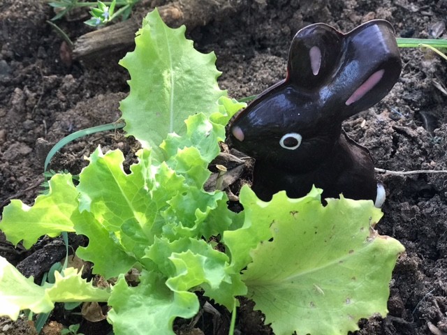 image15.jpeg image15.jpeg