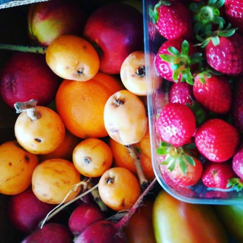 33540404_1100640813409012_4588035025097719808_n.jp 33540404_1100640813409012_4588035025097719808_n.jp