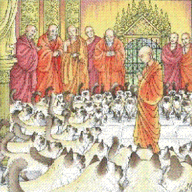 lenda gato birmania.gif lenda gato birmania.gif