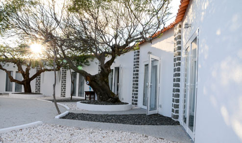 DSC_2393_bx.jpg DSC_2393_bx.jpg