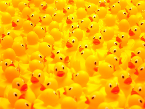 Rubber_ducks2.jpg