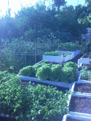 Foto original de D.A.P.L. Junho 2015.jpg