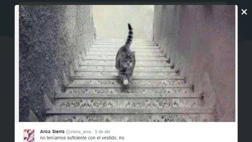 11113171_10153218052383252_7516498537040628643_n.j