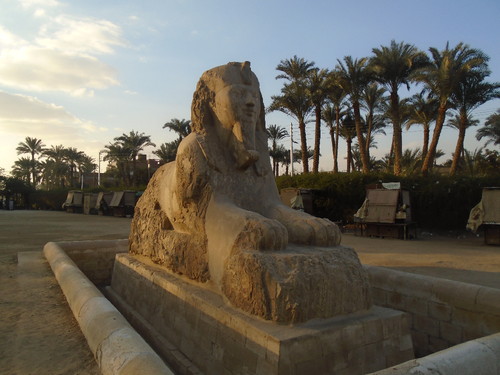 DSC00080.JPG DSC00080.JPG