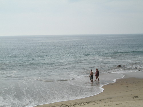 IMG_0905.JPG IMG_0905.JPG