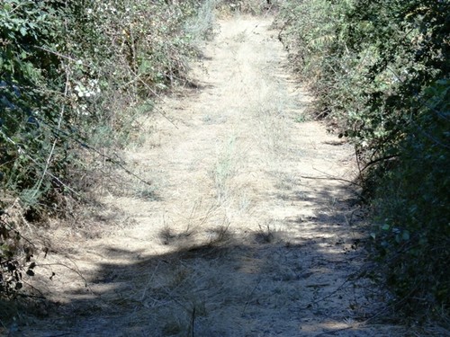 loriga, torroselo, seixo,etc. 021.jpg