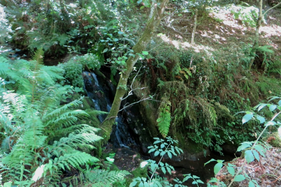 IMG_3049.JPG IMG_3049.JPG