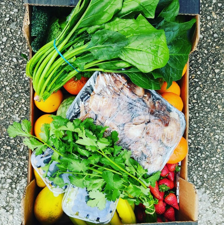 336091504_731245295146245_8030886496862230742_n.jp