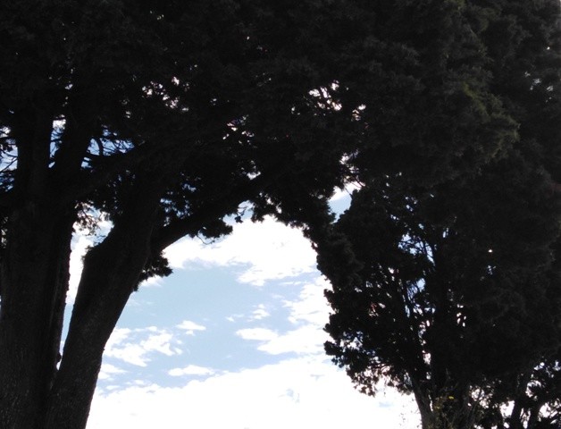 IMG_20210528_084849cópia.jpg IMG_20210528_084849cópia.jpg