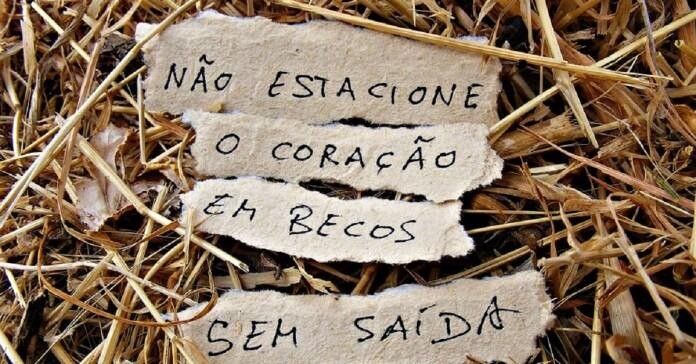 25158201_1762510090440224_7671221008843809522_n.jp