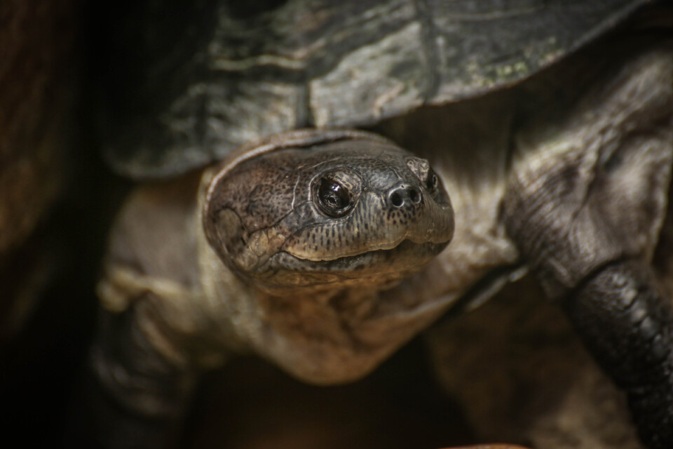 zoo de lisboa 10.jpg