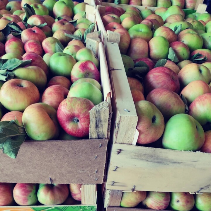 451973447_875028034654608_6784696804381993960_n.jp