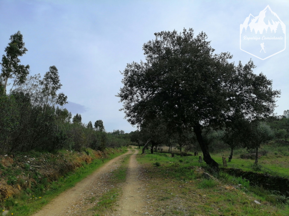 Photo_1584188388962.jpg Photo_1584188388962.jpg