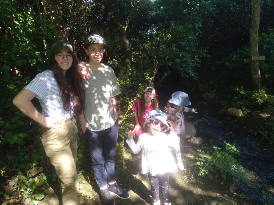 IMG_20210418_102637_132.jpg IMG_20210418_102637_132.jpg